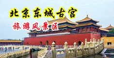 操屄啊啊…中国北京-东城古宫旅游风景区